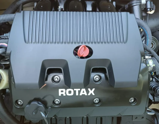 Капитальный ремонт двигателей Rotax ACE